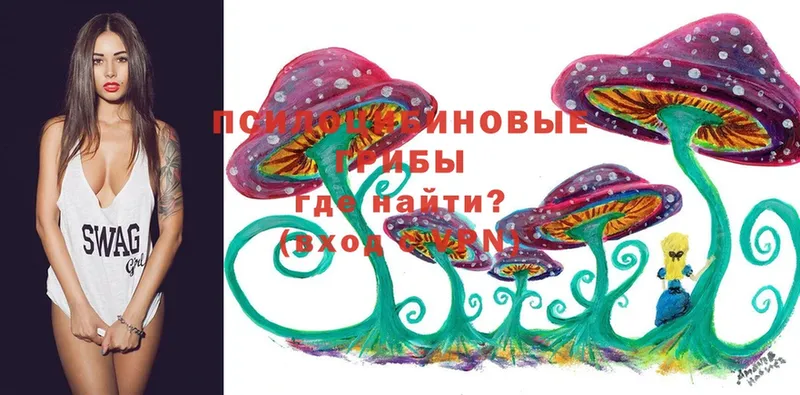 Галлюциногенные грибы Cubensis  Лакинск 